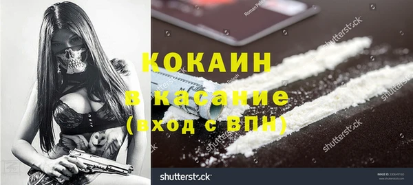 индика Балахна